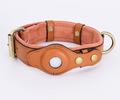 Airtag Dog Collar and Leash for Medium and Large Dogs