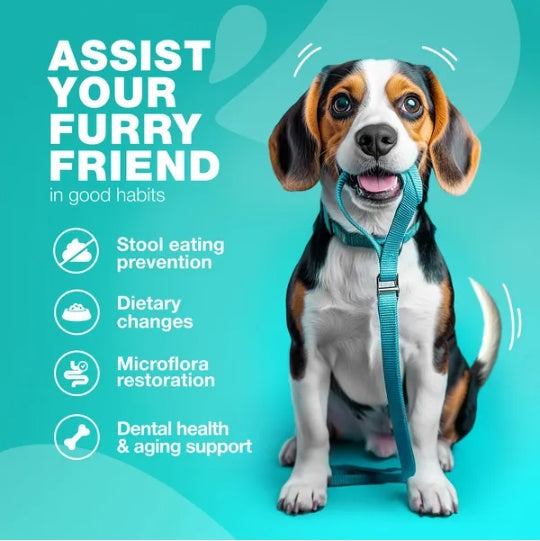 No Poo Chews For Dogs Coprophagia Deterrent For Dogs Forbid For Dogs Stool Eating Deterrent Dog Probiotics For Digestive Health Digestive Gut Immune Health Treats No Poop Eating For Dogs