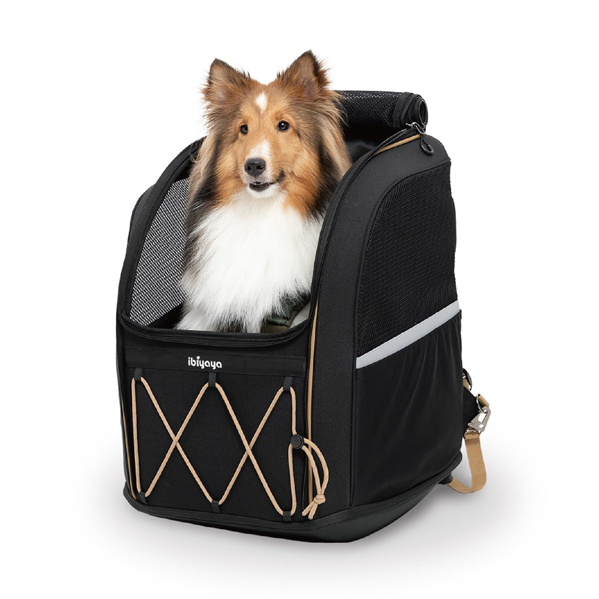 ibiyaya - Pet Carrier for Medium and Large Dogs - Champion 3-in-1 Large Dog Backpack Carrier with Water Resistant Fabric Extra Storage and Minimalist Folding and Storage - Jet Black