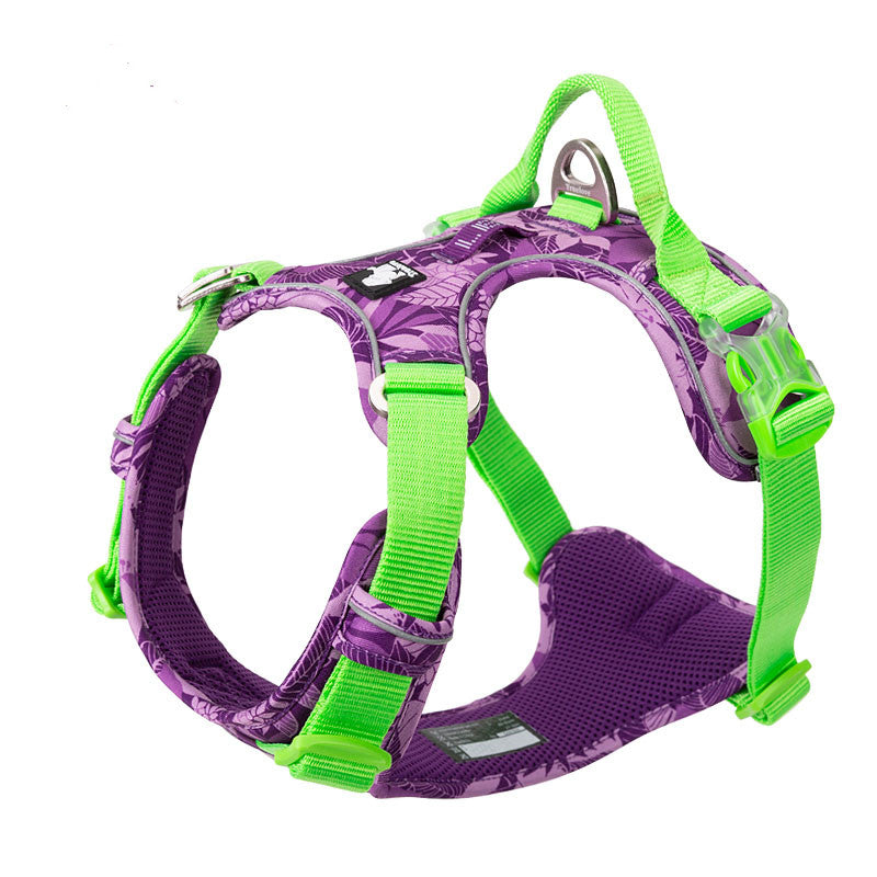 Dog Leash and Harness for Medium to Large Dogs