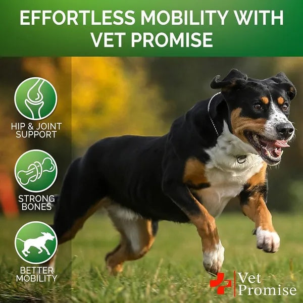 Glucosamine For Dogs 2 Pack Hip And Joint Supplement With Chondroitin 240 Chews