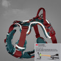 Dog Leash and Harness for Medium to Large Dogs
